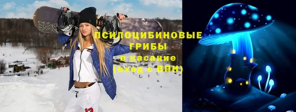 хмурый Богородицк
