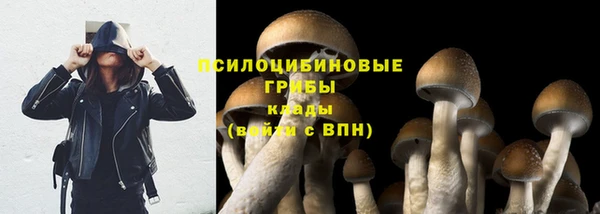 соль курить ск Богородск